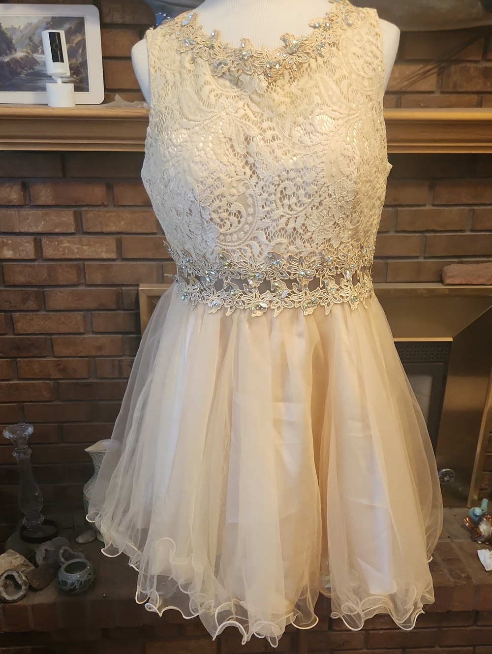 Sleeveless Lace Tulle Party Dress in Champagne Beaded Iridescent Ballon Puff